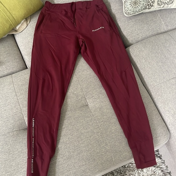 Alphalete - Pro-Elite Jogger - Burgundy (Medium) - Picture 2 of 5